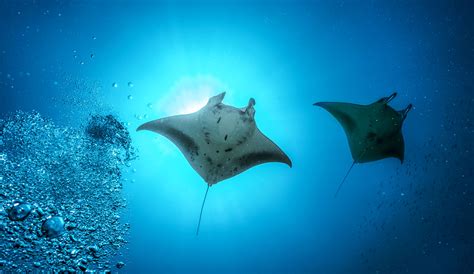 Get Q’d In: Exclusive Benefits for Members | Andrew Harper