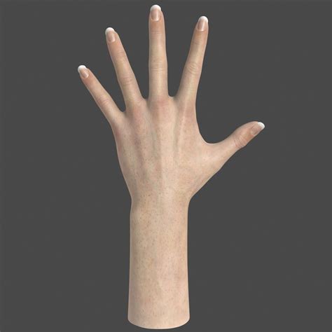 Image result for Female Hand 3D Modeling