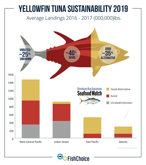 Yellowfin Ahi Tuna Nutrition Facts | Besto Blog