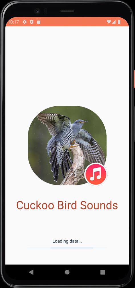 Cuckoo Bird Sounds APK for Android Download