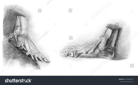 Foot Drawing 的图像结果