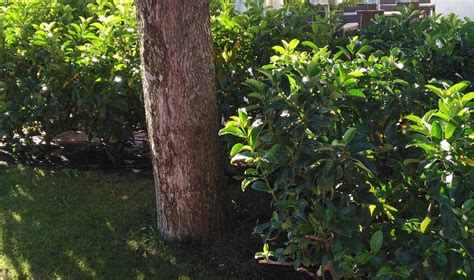 HOTEL RESTAURANTE FLORIDA (Cuellar) - Hotel Reviews & Photos - Tripadvisor