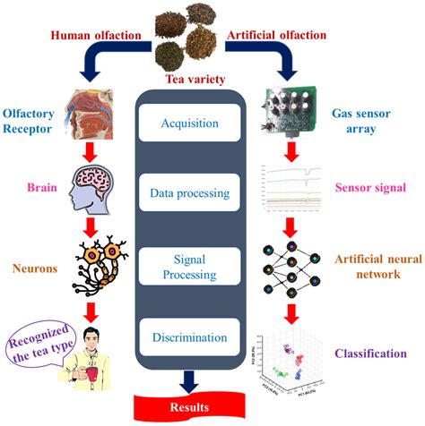 Applications of Electronic Nose Coupled with Statistical and ...