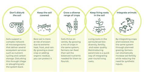 What is Regenerative Agriculture and How Does it Benefit Your Farm? - Climate Farmers