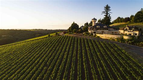 The Best Wineries to Visit in Oregon