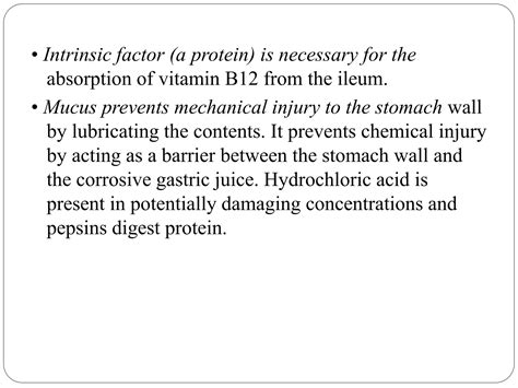 Stomach | PPTX