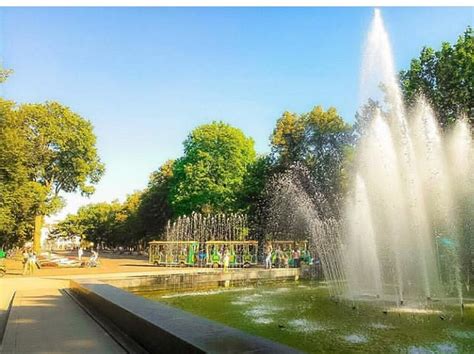 SHEVCHENKO CITY GARDEN (2026) All You Need to Know BEFORE You Go (with ...