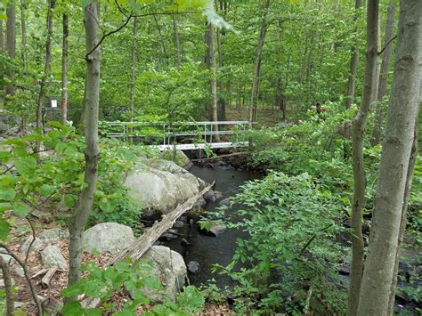 Newfoundland, NJ Map & Directions - MapQuest