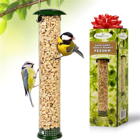 10 Best Large Chickadee Bird Feeders for Your Garden - Hummingbirds Plus