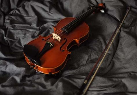 Image result for Fiddle for Beginners