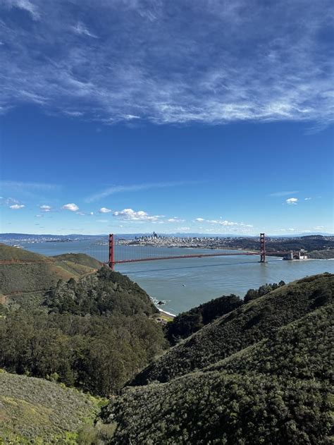 Image result for SF Bay View