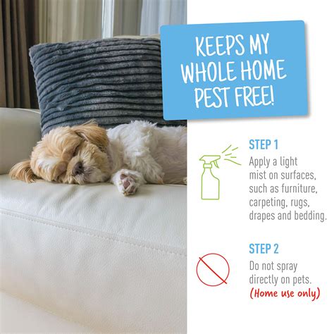 Do Bug Bombs Kill Flea Eggs at Albina Giese blog
