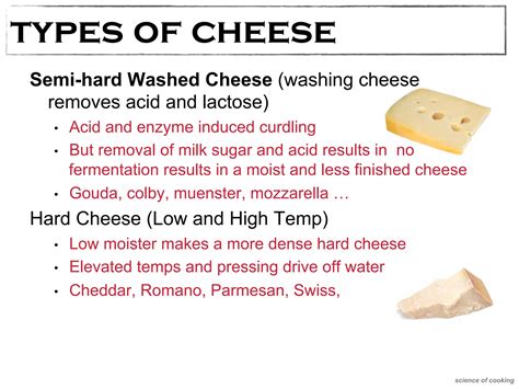 Example of a Classical Biotechnology Process 的图像结果