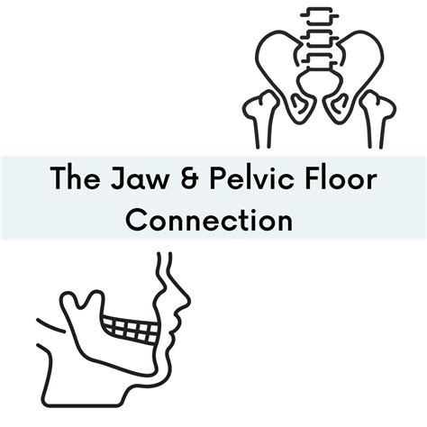 The Jaw & Pelvic Floor Connection — Awake Pelvic Health & Wellness