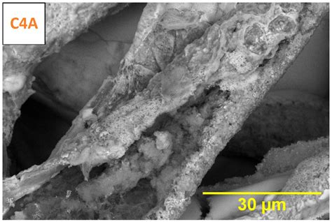 CaCO3-Infused Carbon Fiber Aerogels: Synthesis and Characterization