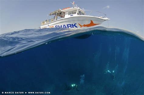 OrangeShark Diving Centre (Mellieha) - 2022 What to Know Before You Go ...