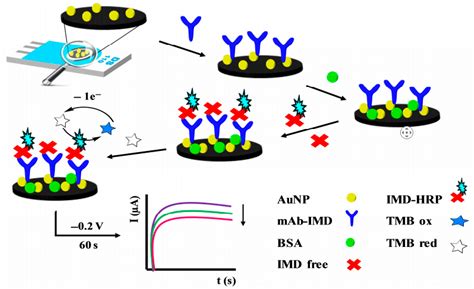 Research Advances in Nanosensor for Pesticide Detection in Agricultural ...