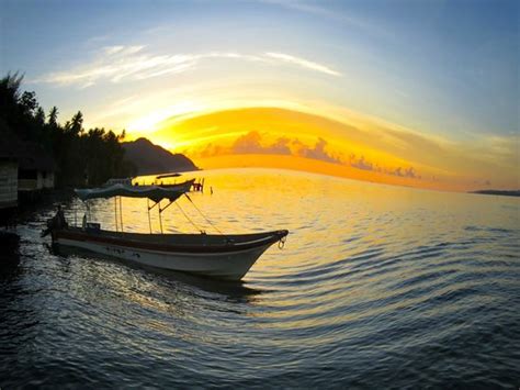 Papua Diving (Kri Island) - 2022 What to Know Before You Go (with ...