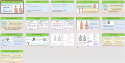 Image result for Endocrine System Grade 12 Lesson