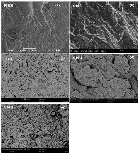 Polymer Bionanocomposites Based on a P3BH/Polyurethane Matrix with ...