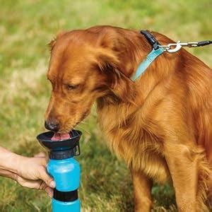 Simxen Dog Water Bowl Bottle Portable Aqua Dog Travel Water Bottle Bowl ...