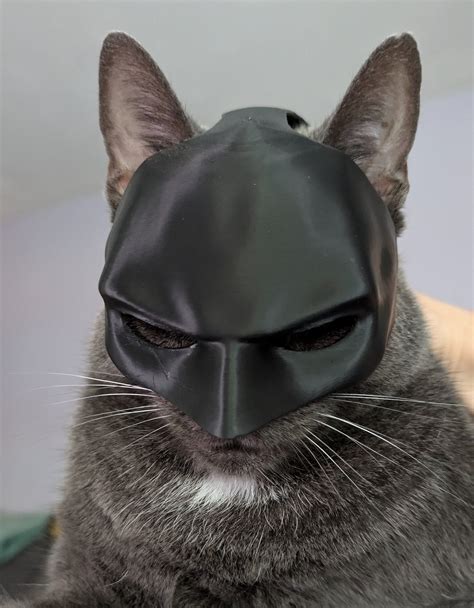 Catbat Mask 3D Printed Batman Mask for Cats Super Hero Cat Mask Small ...