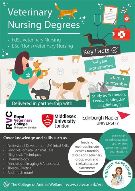 Veterinary nurse courses – Artofit