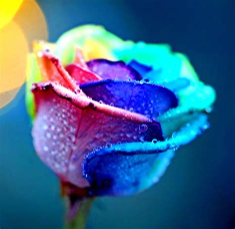 Amazing Magic 的图像结果