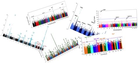 Image result for GWAS Software