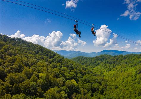 Zip Line Tours - Navitat Canopy Tours and Adventures Near Asheville, North Carolina - Oakland ...