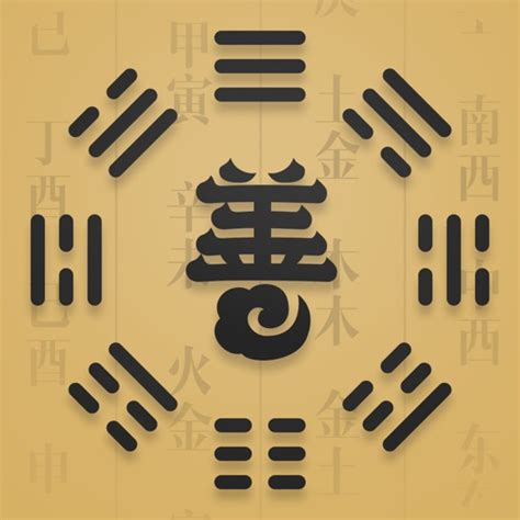 善奇·八字排盘-周易生辰八字算命大师 by Xiamen Biansheng Network Co., Ltd.