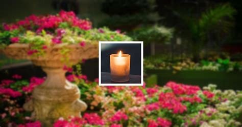 Obituary | Bonnie M Malone of Lincoln, Nebraska | Kuncl Funeral Home ...