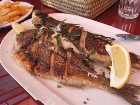 #1 seafood restaurant in Kelibia - Reviews, Photos - Toro-Fish ...