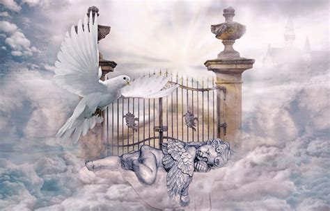 Download Rest In Peace Heaven Background | Wallpapers.com