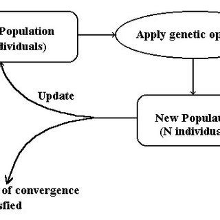 Image result for Evolution Algorithm Python
