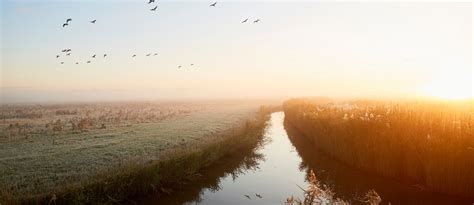 Estate Charitable Giving and Trust - Osterbur Patel Wealth Management ...