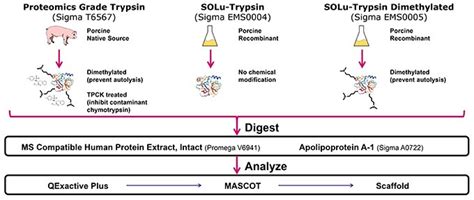 Evaluation of Recombinant, Chemically Treated Trypsin in Proteomics and ...