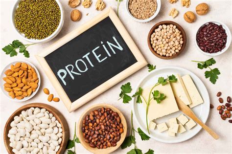 How much protein is needed per day? Let's find out the daily protein ...