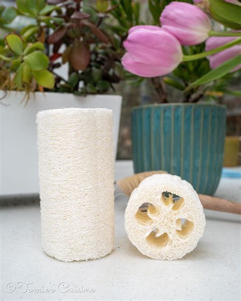 What Is A Natural Loofah at Douglas Hammond blog