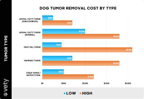 How Much Does Dog Tumor Removal Cost? (2026)