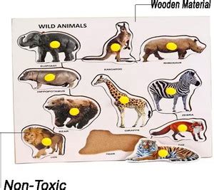 Poktum Animal Premium Wooden Education Learning Toy Puzzle Board ...