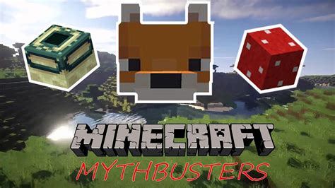 Minecraft Mythbusters 的图像结果