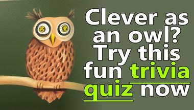 Basic Knowledge Quiz 的图像结果