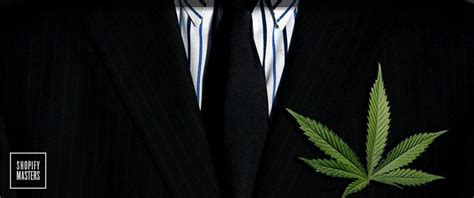 How Bee-High Is Redefining Cannabis Culture by Building an Audience on ...