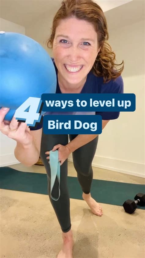 Image result for Clamshell Variations