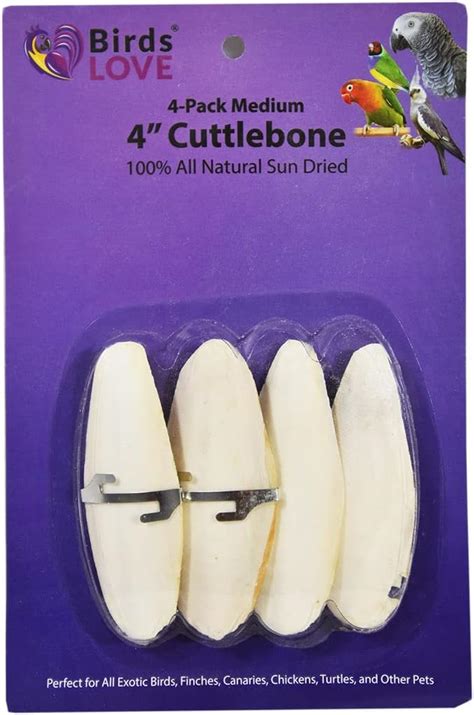 Birds LOVE Natural Cuttlebone – Premium Calcium & India | Ubuy