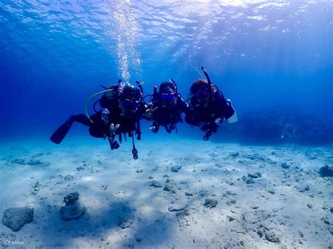 Ishigaki's Underwater Wonders with Advanced Open Water Course - Klook India