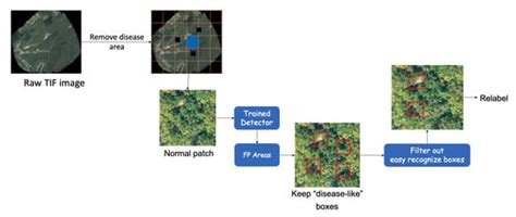 A Deep Learning-Based Generalized System for Detecting Pine Wilt ...