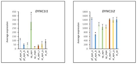 Ubiquitin Proteasome Gene Signatures in Ependymoma Molecular Subtypes