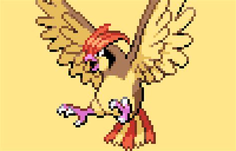 Image result for pidgeotto evolution pixelmon